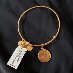 ☮️ New Alex and Ani Because I Love You Stepmom EWB RG  Bracelet Bangle   4